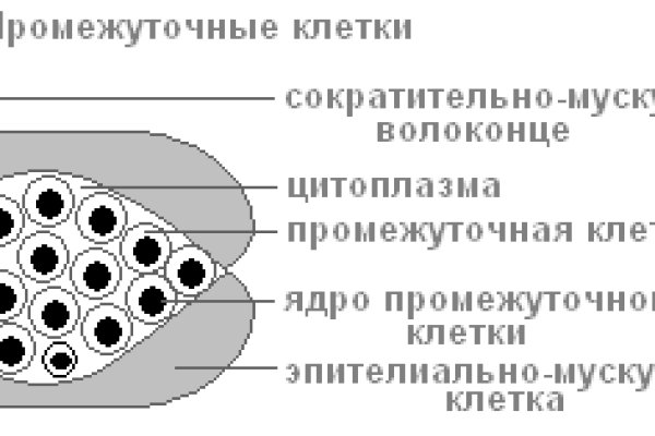 Кракен даркнет текст