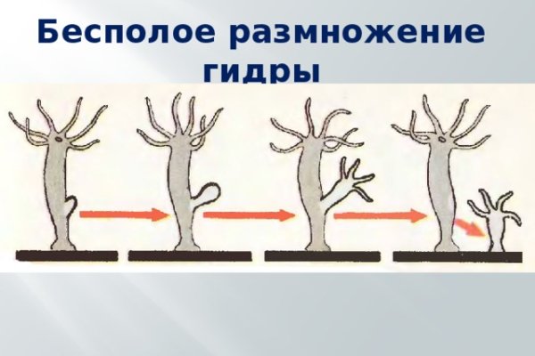 Кракен ссылка на тор официальная